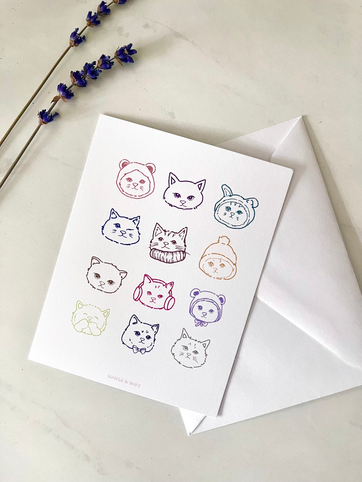 TWELVE KITTIES POSTCARD
